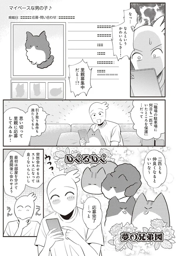  「レオとシロウのドタバタ猫日記」より