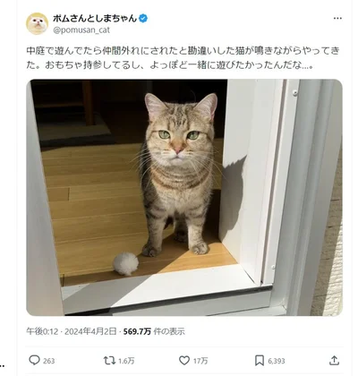 17万いいねがついたポスト▶しまちゃんの足元にあるものは一体…？（⇒次へ）