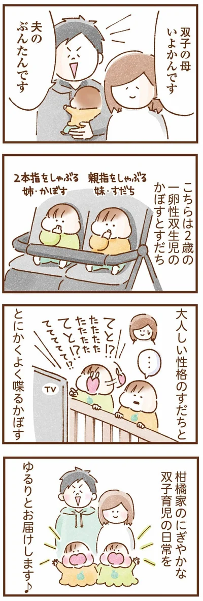 双子育児のにぎやかな日常