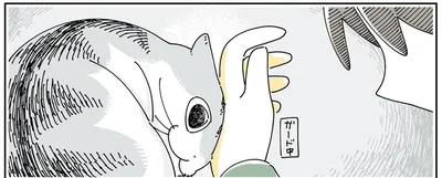 飼い主と愛猫の攻防