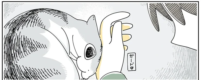 飼い主と愛猫の攻防