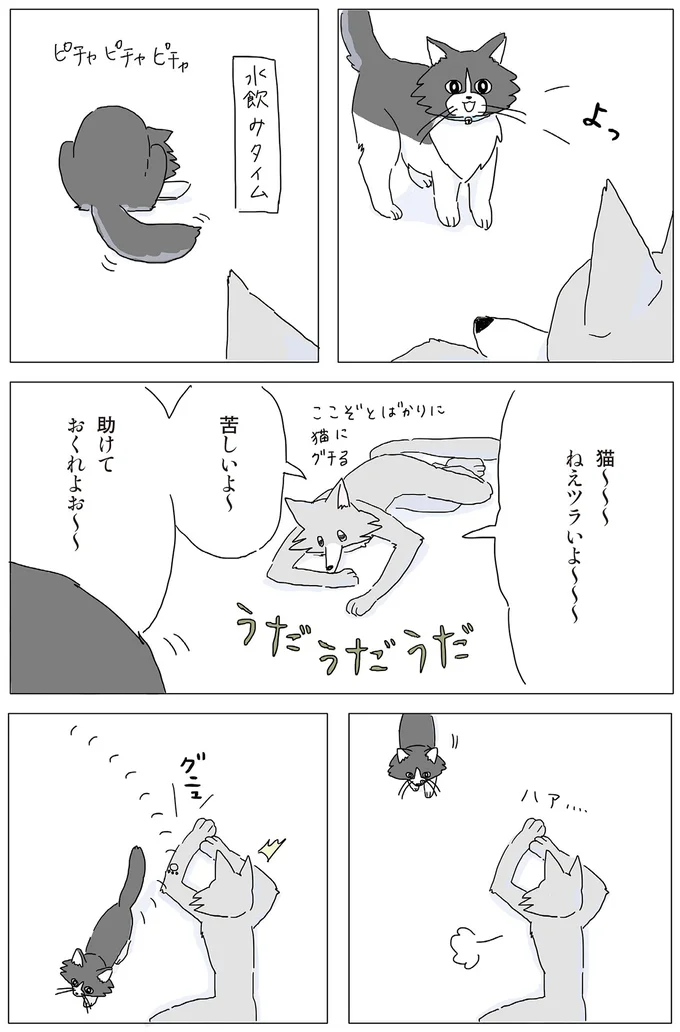 猫～～～　ねえツラいよ～～～