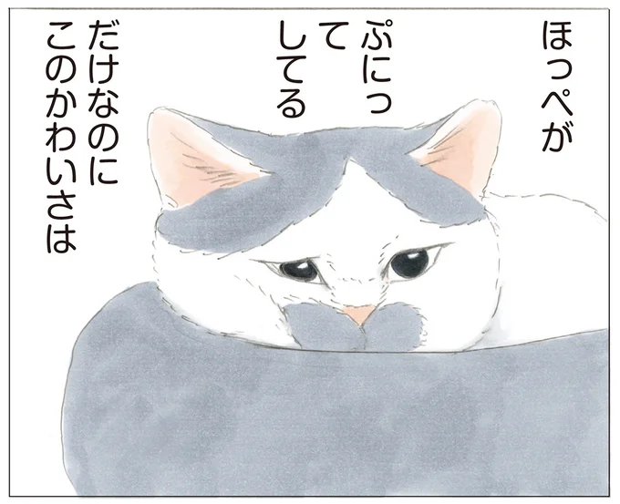 ほっぺがぷにってしてるだけなのに