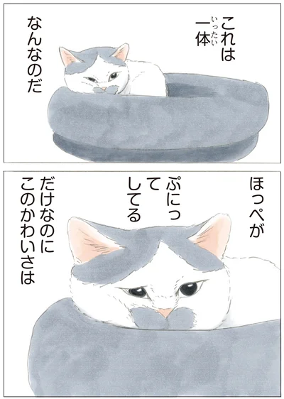ノリ吉のほっぺ