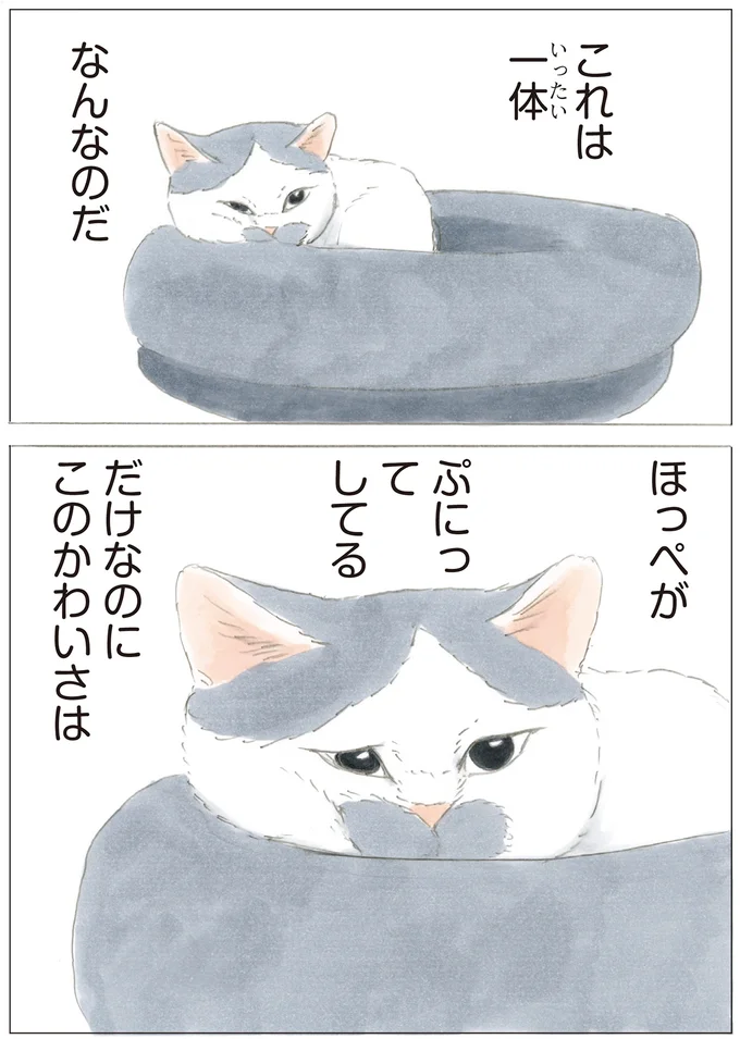 ノリ吉のほっぺ