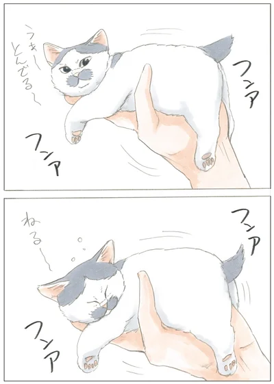 手の中でもマイペース
