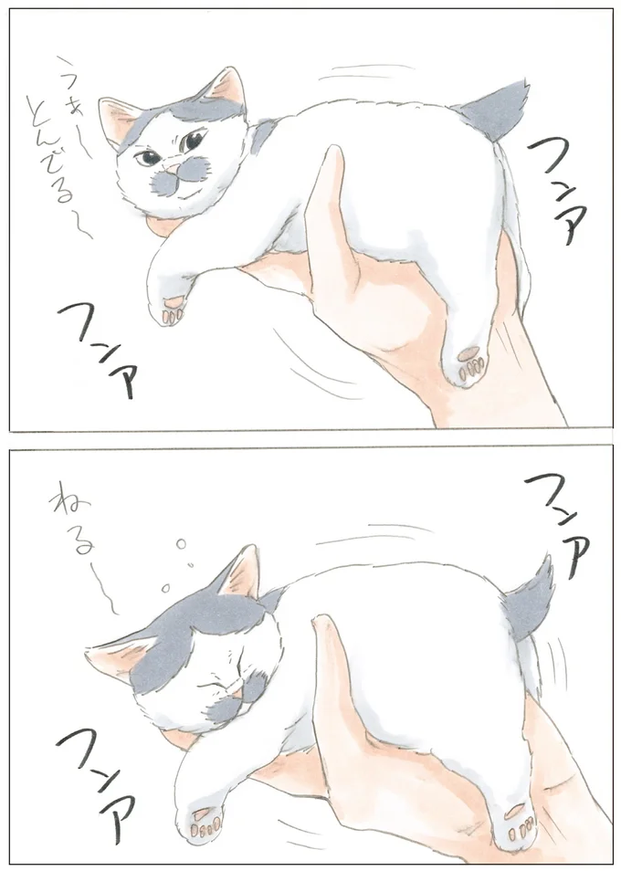 手の中でもマイペース