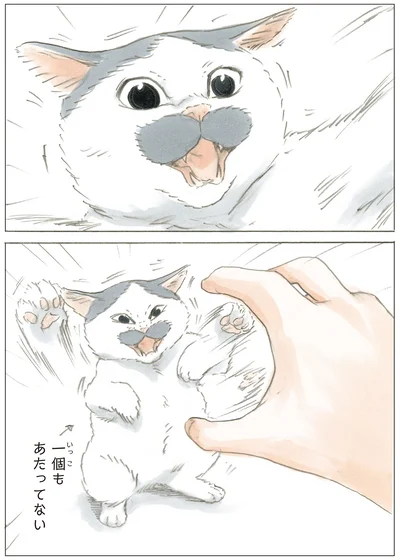 猫パンチ