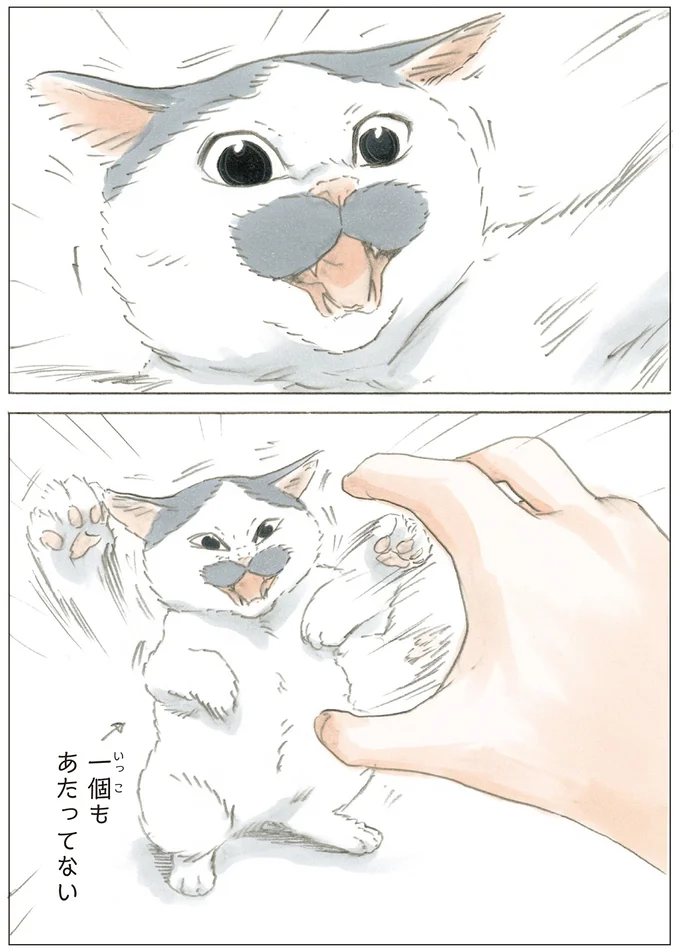 猫パンチ
