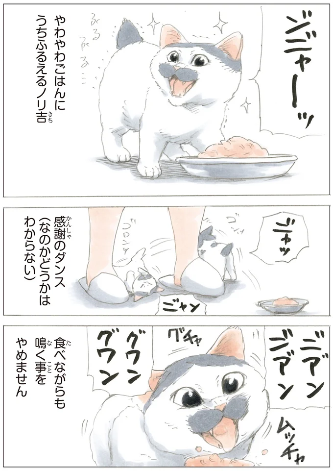 『ノリ吉は大吉猫』より