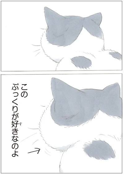 『ノリ吉は大吉猫』より