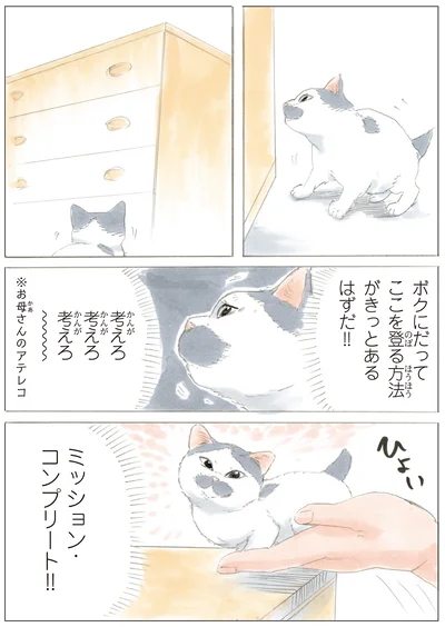『ノリ吉は大吉猫』より