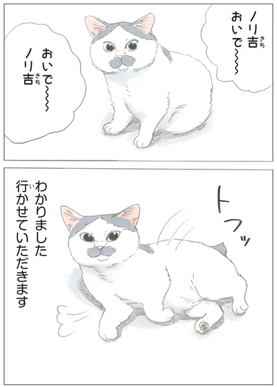 『ノリ吉は大吉猫』より