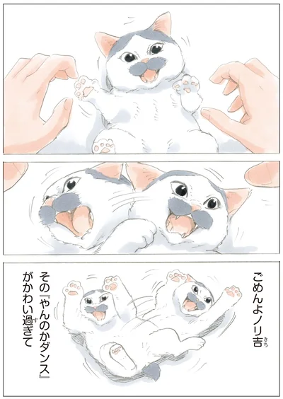 『ノリ吉は大吉猫』より