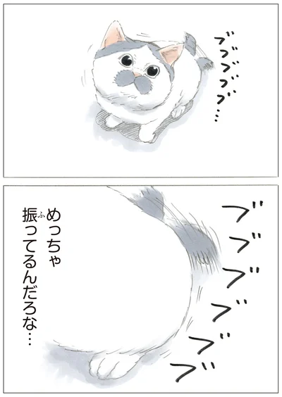 『ノリ吉は大吉猫』より