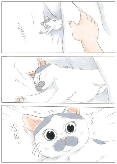 『ノリ吉は大吉猫』より