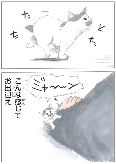 『ノリ吉は大吉猫』より