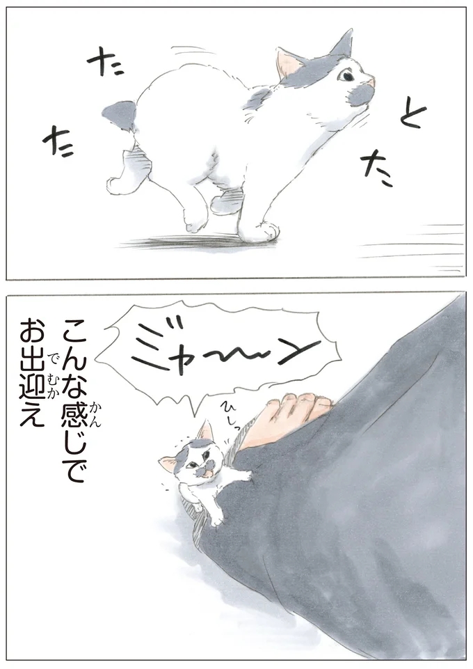 『ノリ吉は大吉猫』より