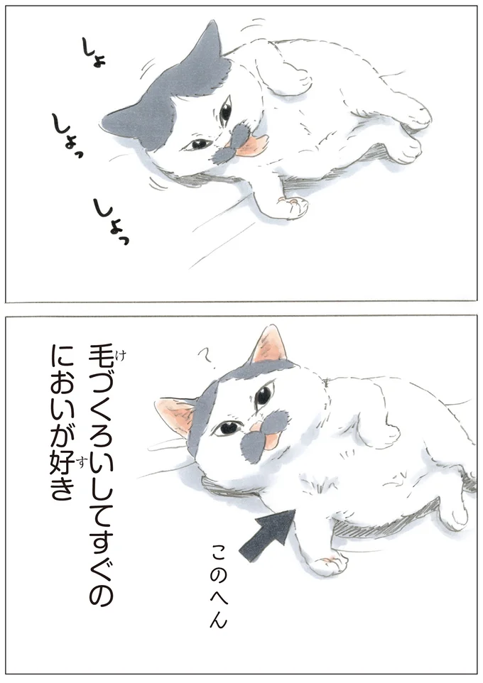 『ノリ吉は大吉猫』より