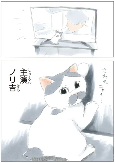 『ノリ吉は大吉猫』より