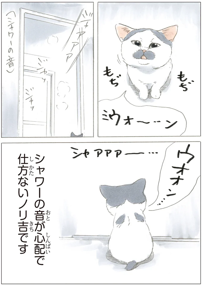 『ノリ吉は大吉猫』より