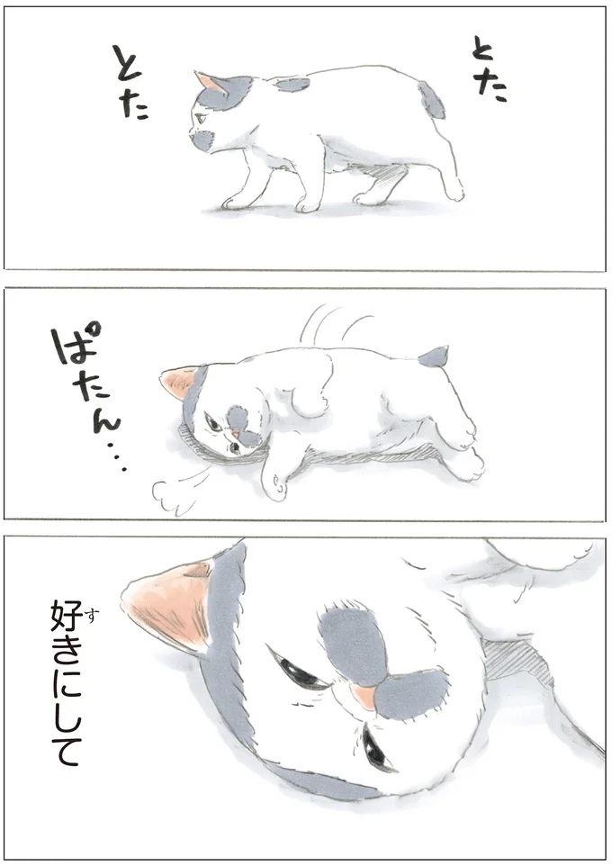 『ノリ吉は大吉猫』より