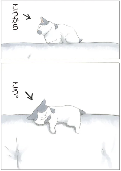 『ノリ吉は大吉猫』より
