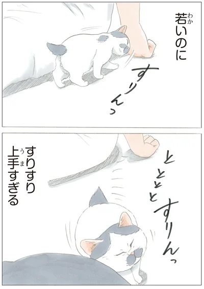 『ノリ吉は大吉猫』より