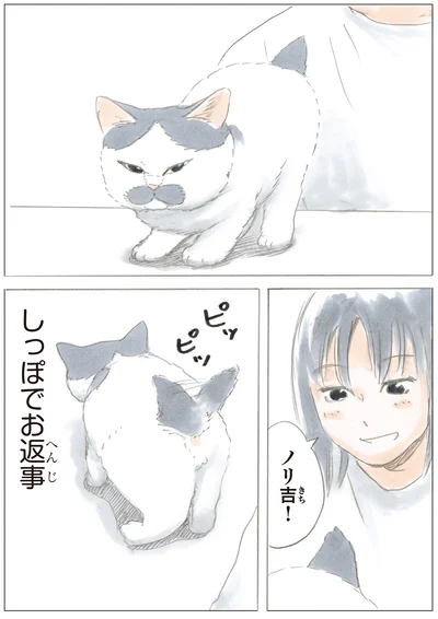 『ノリ吉は大吉猫』より