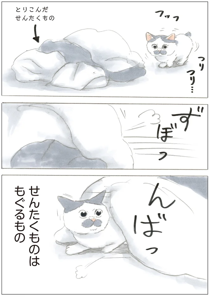 『ノリ吉は大吉猫』より