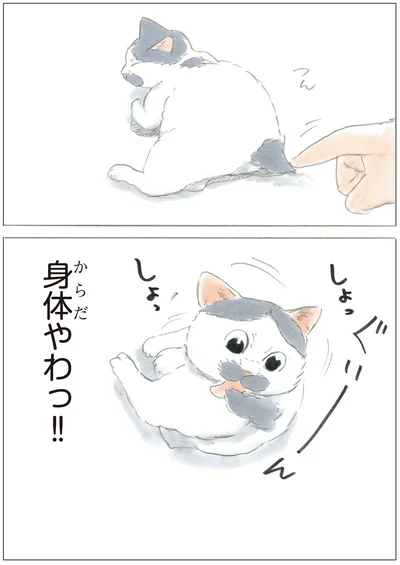 『ノリ吉は大吉猫』より