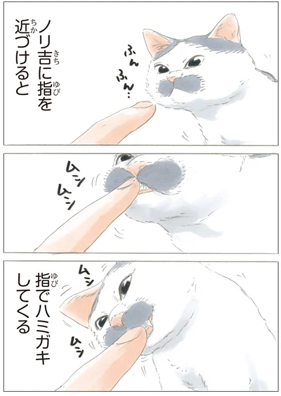 『ノリ吉は大吉猫』より