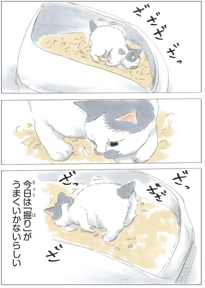 『ノリ吉は大吉猫』より