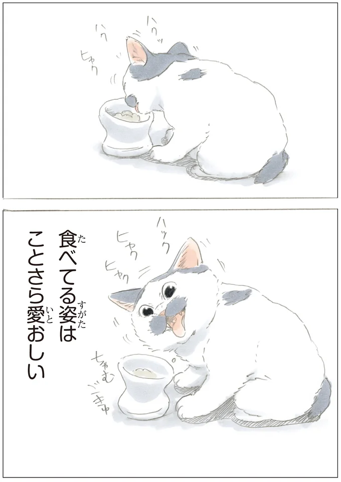 『ノリ吉は大吉猫』より