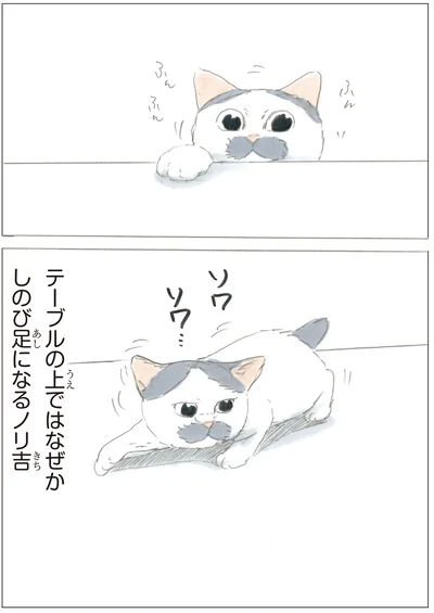 『ノリ吉は大吉猫』より
