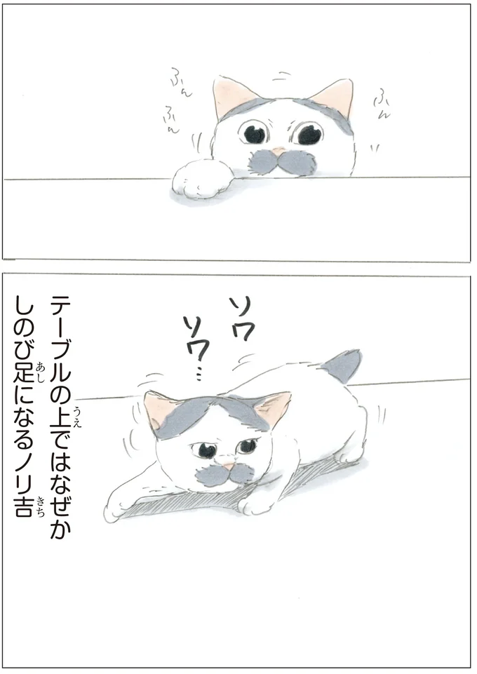 『ノリ吉は大吉猫』より