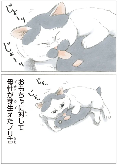 『ノリ吉は大吉猫』より