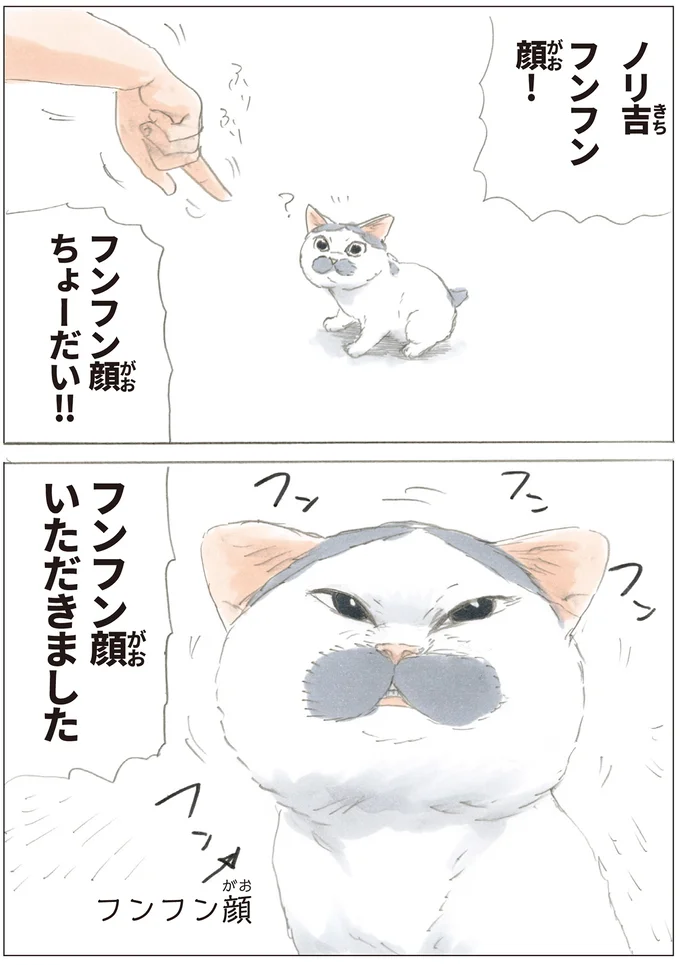 『ノリ吉は大吉猫』より
