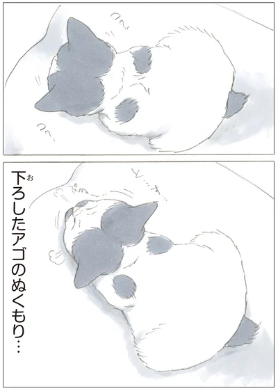 『ノリ吉は大吉猫』より