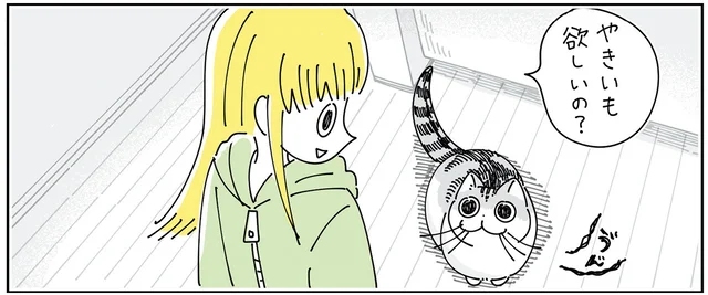 欲しがったからあげたのに！ アピールの激しい猫に食べ物を与えた結果／夜は猫といっしょ6（5）