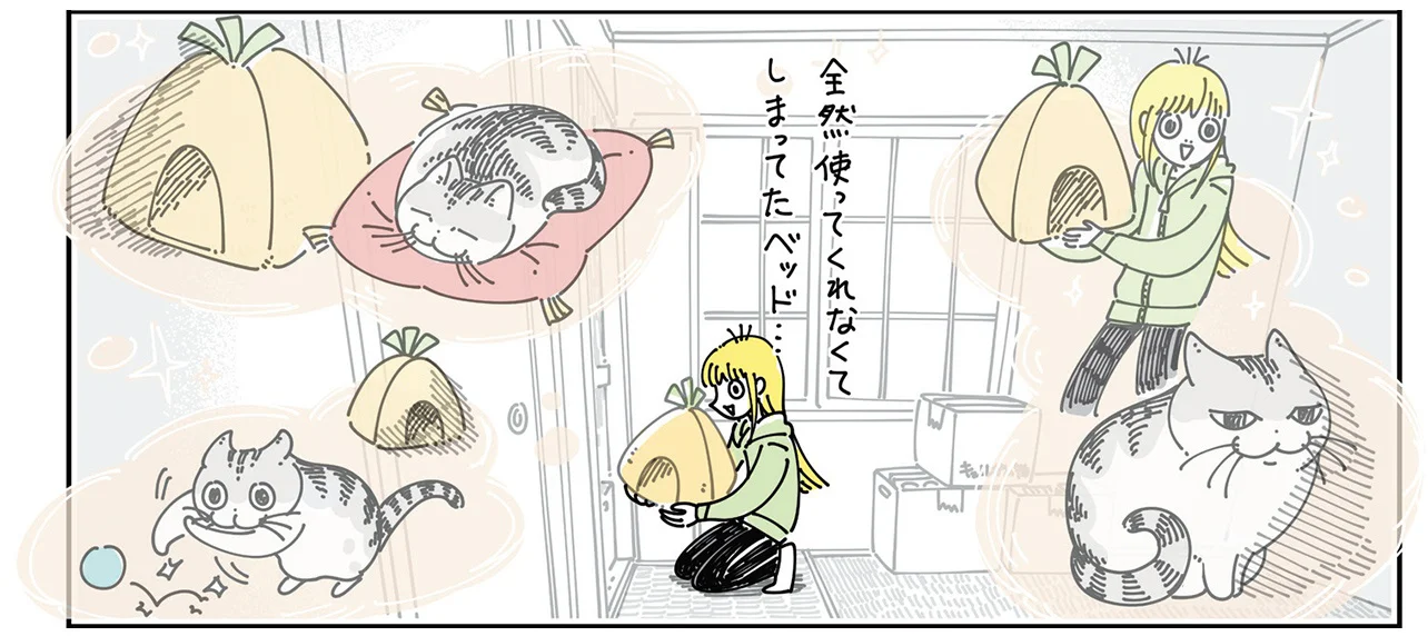 今更お気に召したんですか! 数ヶ月前にあげたベッドに猫が入っ 今更お気に召したんですか! 数ヶ月前にあげたベッドに猫が入っ