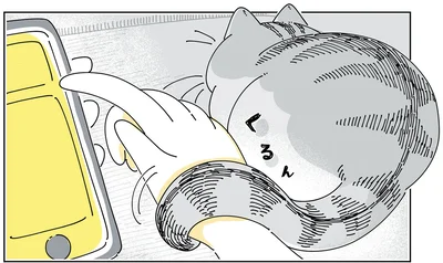 しっぽが腕に