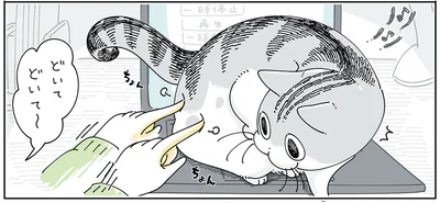 つついてみる