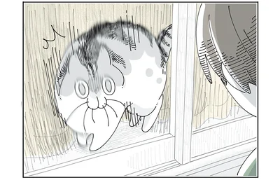家の外にいる飼い主を見て