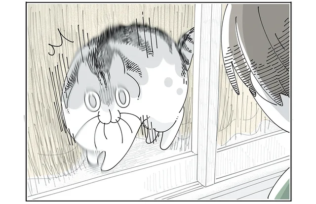 見送りに来てくれたわけじゃない!? 家の外にいると「知らない人」判定しちゃう猫／夜は猫といっしょ6（11）