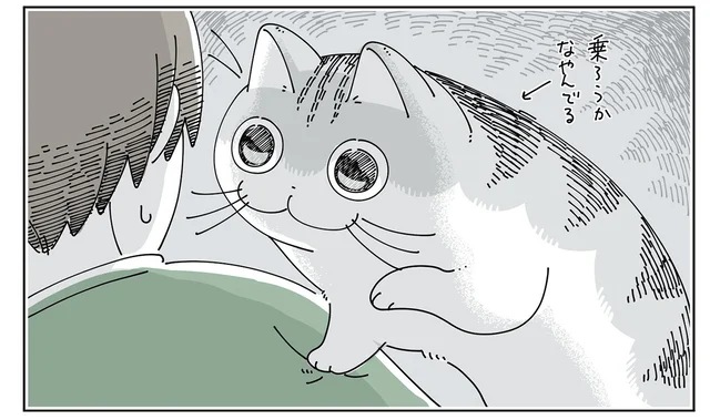 肩に乗るの？ やめるの？ たまに優柔不断なところがあるうちの猫／夜は猫といっしょ6（13）