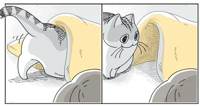 自分で入りなおす
