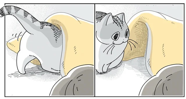 自分からもぐりたい？ 寒そうにしている猫にふとんをかけてみたら／夜は猫といっしょ6（15）