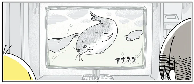 動物番組に既視感
