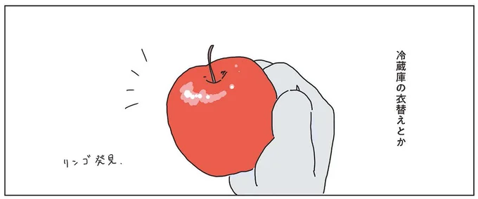 冷蔵庫の衣替えとか